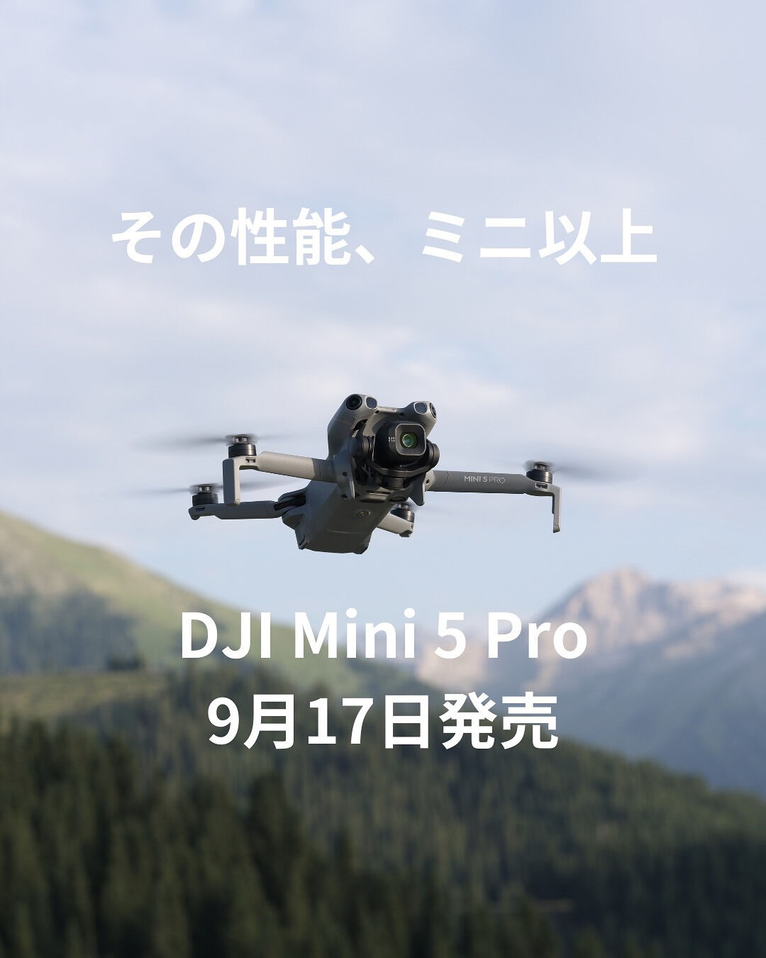 ついに来ました！✨️